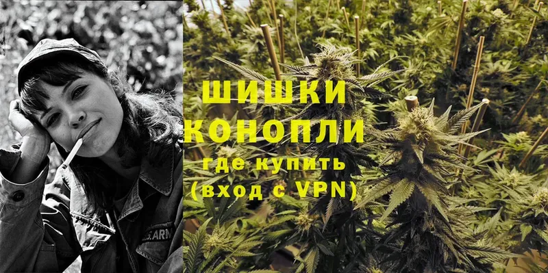 Конопля OG Kush  Курильск 